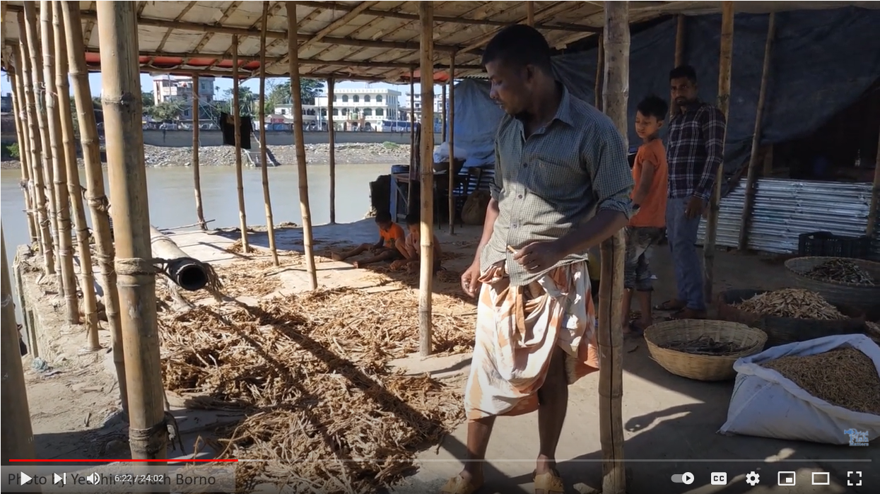 Screenshot from the video Visualizing Social Economies, showing a man in Bangladesh standing next to dried Bombay duck fish laid out on the ground